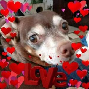 Meet your Posher, Sue